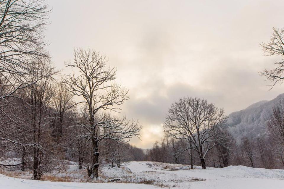 Kalyny Ski Complex Velikiy المظهر الخارجي الصورة